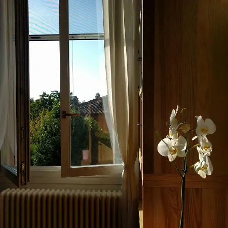 Mini Mini Apartment Bologna